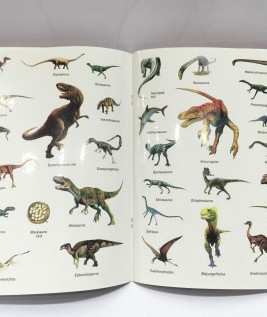 Dinosaurs Info Stickers
