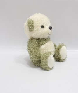 Green Teddy