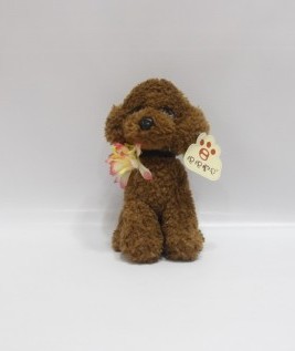 Dark Brown Puppy
