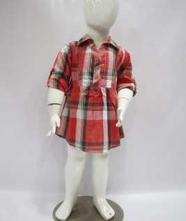 Red Check