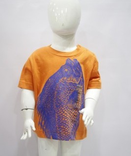 Fish Print