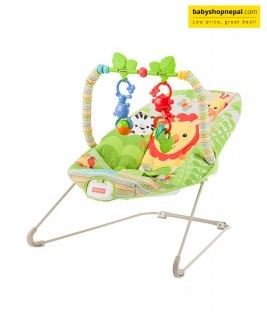 Fisher Price Rainforest Friends Bouncer 1