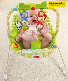 Fisher Price Rainforest Friends Bouncer 2