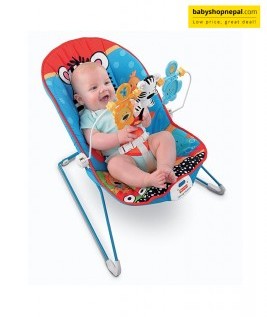 Fisher-Price Baby Bouncer.