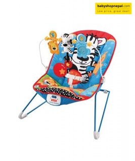 Fisher-Price Baby Bouncer.