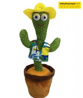 Dancing Cactus With Dress.