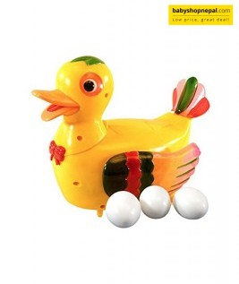 Egg Laying Yellow Duck 1