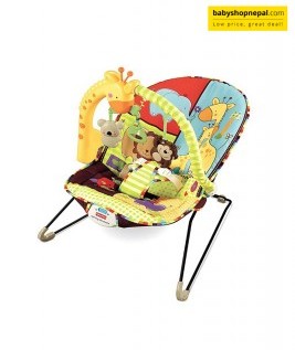 Fisher Price Play Time Baby Bouncer.