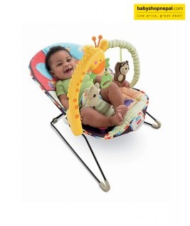 Fisher Price Play Time Baby Bouncer.