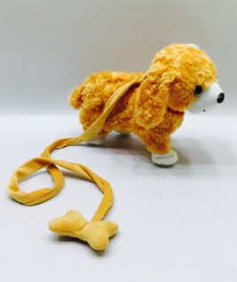 Pet Dog with Leash 1