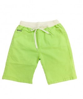 Light Green Summer Shorts-1