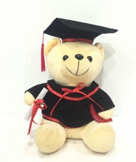 Graduate Teddy Bear Soft Toys-1