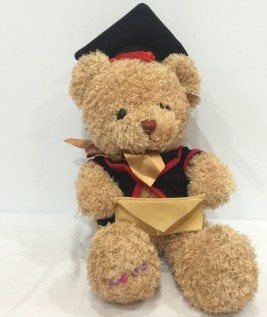 Graduate Teddy Bear Soft Toys-2