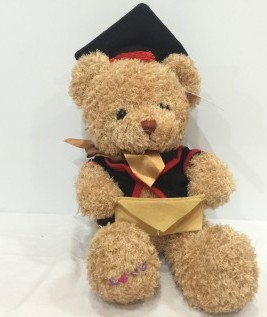 Brown Graduate Teddy Bear with an Envelope