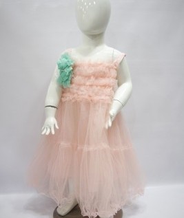 Pink Netted Party Wear Dress 1