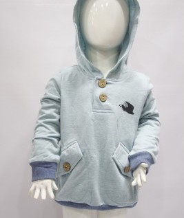 Light Blue Hoodie 1
