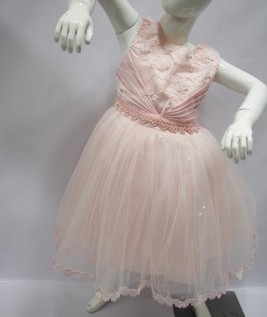 Pink Embroidery Party Dress for Girls 1