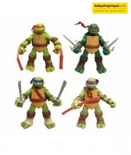 Ninja Turtle Action Figure Collection.