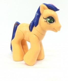 orange and blue pony
