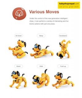 Remote-controlled Dog in Different Moves.