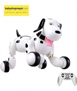 Robot Smart Dog 1