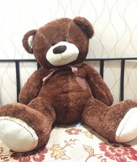Huge Teddy Bear Plush Toys 1