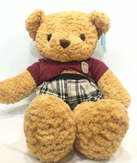Baxter The Teddy Bear 2