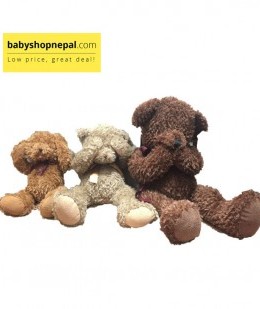 Gund Teddy Shy Bear with Magnetic 3