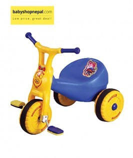 Ducky Tricycle -1